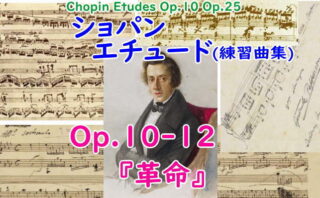 ショパン データベース Chopin Database | ショパンのすべてをここに