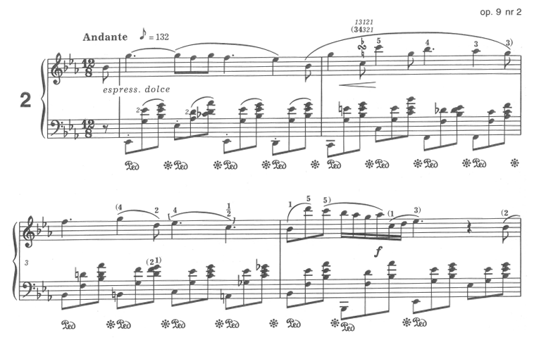 ショパン全作品一覧【ノクターン 全22曲】 | ショパン データベース 